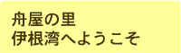 舟屋の里、伊根湾へよこそ