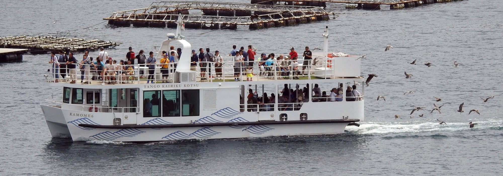 公式 伊根湾めぐり遊覧船 伊根の舟屋へ行こう 丹後海陸交通 公式 伊根湾めぐり遊覧船 伊根の舟屋へ行こう 丹後海陸交通